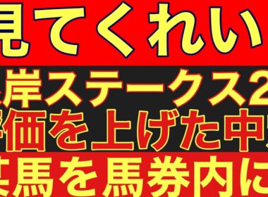 【根岸ステークス2026】の某中穴馬を解説！フェブラリーSに出る為には賞金加算は必須！#競馬 #根岸ステークス
