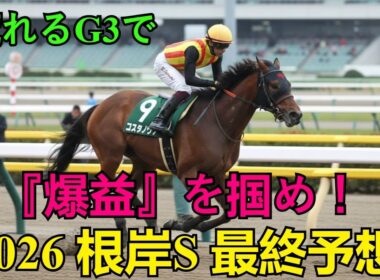 【2026 根岸S 最終予想】荒れるG3で『爆益』を掴め！フェブラリーS直結の必見レース！回収率1000万の最強予想陣が推す「激走穴馬」と本命◎徹底解説