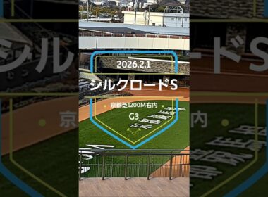 【シルクロードS 2026】上位5頭予想！高松宮記念のステップレース、シルクロードステークスの開催です。