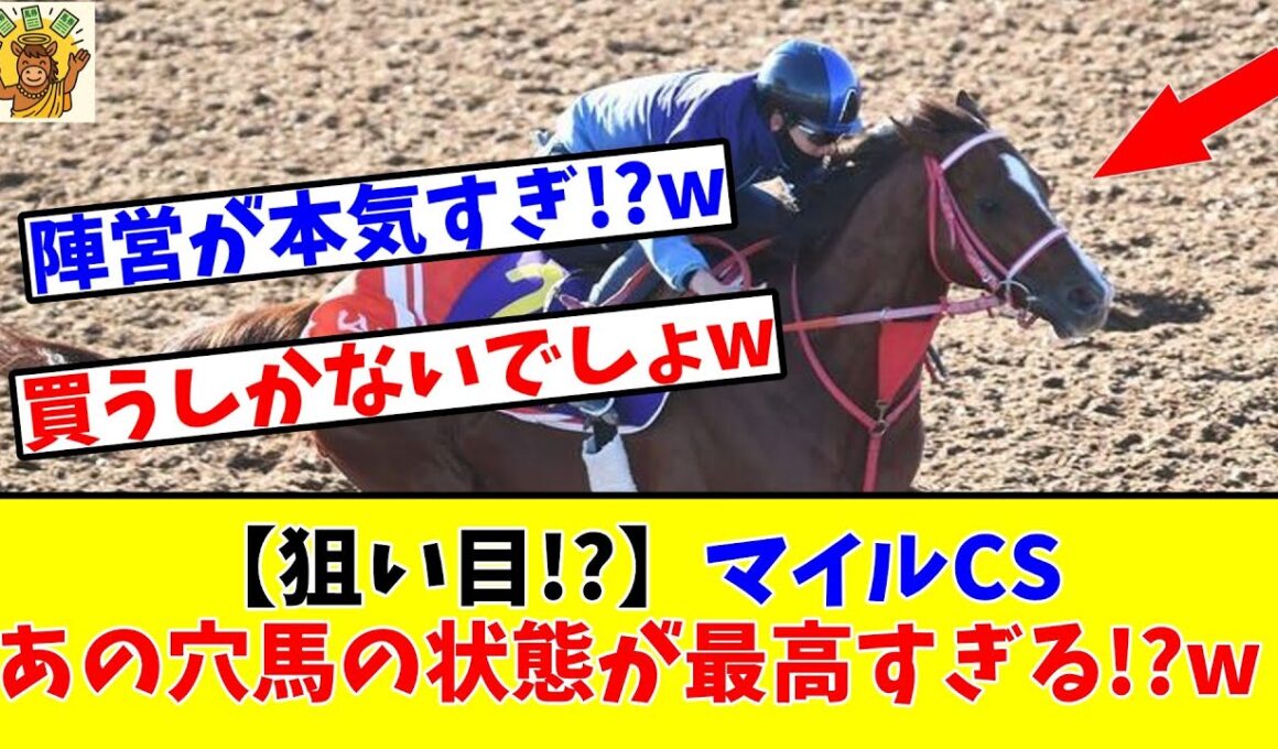 【マイルCS】【狙い目!?】マイルCS出走のあの穴馬の状態が最高すぎる!?www