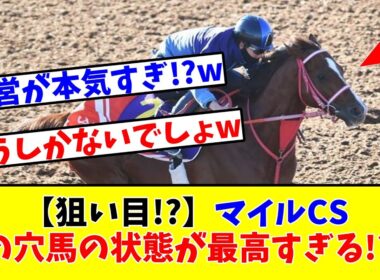 【マイルCS】【狙い目!?】マイルCS出走のあの穴馬の状態が最高すぎる!?www