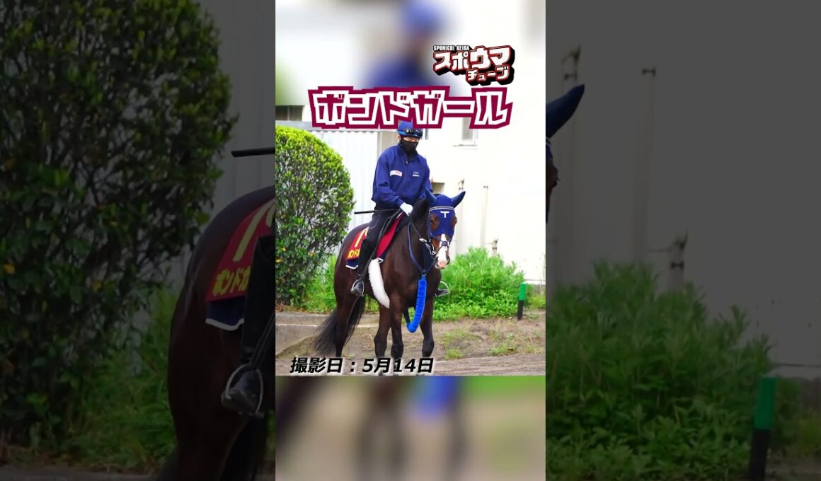 【ヴィクトリアマイル・出走予定】ボンドガール 美浦での様子 #shorts