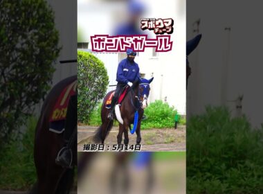 【ヴィクトリアマイル・出走予定】ボンドガール 美浦での様子 #shorts