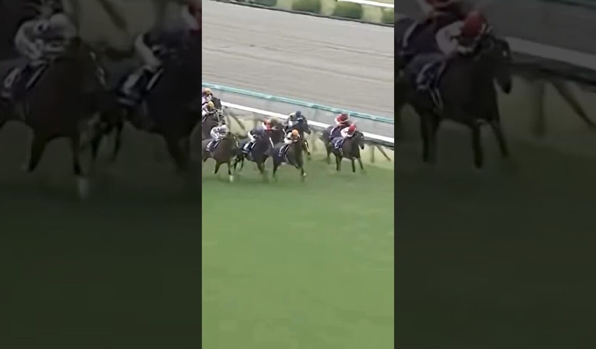 #東京新聞杯#ウォーターリヒト#高杉騎手#G3#有馬記念#ジャパンカップ#有馬記念 競馬予想