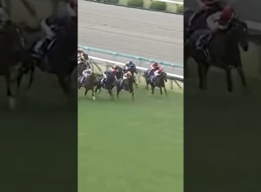 #東京新聞杯#ウォーターリヒト#高杉騎手#G3#有馬記念#ジャパンカップ#有馬記念 競馬予想