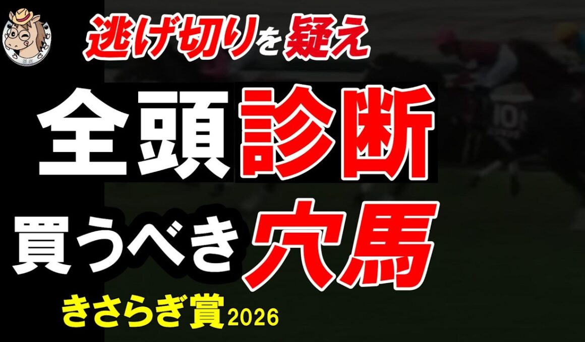 【きさらぎ賞2026 全頭診断】京都は差し有利が本線｜重賞だけ見て判断すると危険な理由