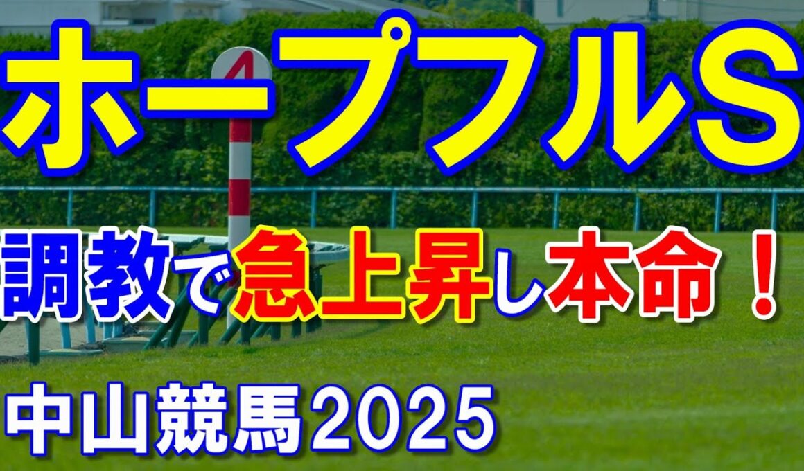 ホープフルステークス２０２５【中山競馬予想】大混戦も使える脚の質が違う本命馬！？
