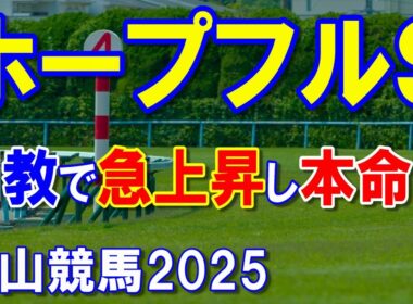 ホープフルステークス２０２５【中山競馬予想】大混戦も使える脚の質が違う本命馬！？