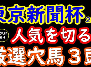 東京新聞杯2026｜人気は飾り！桜花が選ぶ絶対注目の穴馬3頭と冬東京芝の高速決着条件