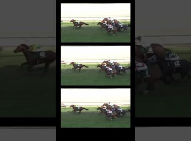 高松宮記念注目馬5選‼️#高松宮記念 #競馬 #国民 #競馬予想