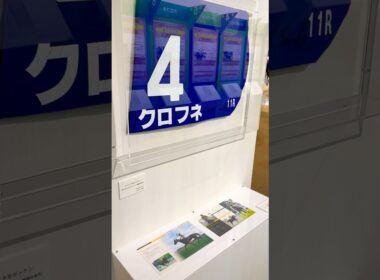 創設30回記念NHKマイルカップ展 クロフネゼッケン