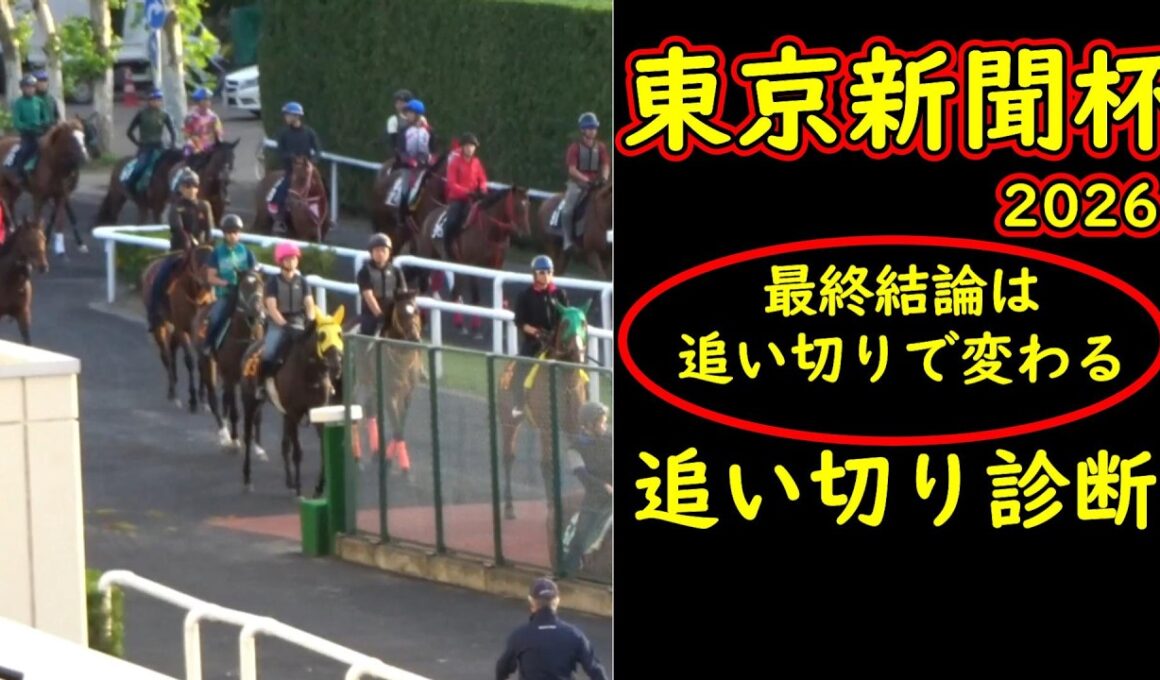 【東京新聞杯2026 追い切り診断】最終結論が変わる動きとは？好調馬と危険な人気馬を徹底分析