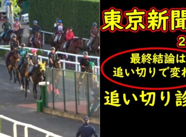 【東京新聞杯2026 追い切り診断】最終結論が変わる動きとは？好調馬と危険な人気馬を徹底分析