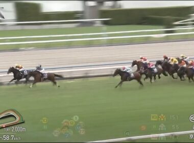 日本秋華賞 Shuka Sho 一級賽 G1 2000m 2025-10-19 巧繡生花 Embroidery 京都競馬場 Kyoto Racecourse