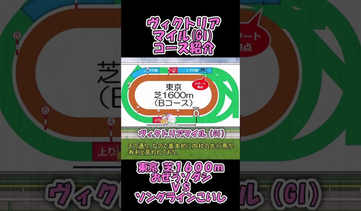 ヴィクトリアマイルコース紹介