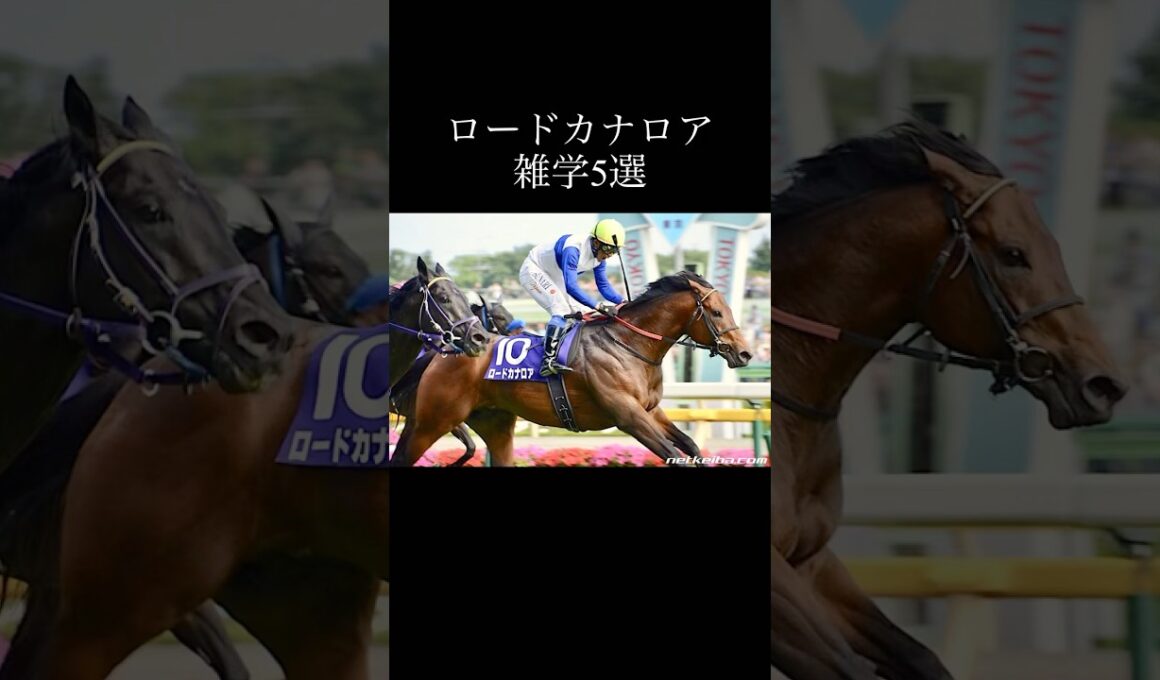 【雑学】ロードカナロアに関する雑学5選 #競馬 #高松宮記念 #ロードカナロア #カレンチャン #ウマ娘