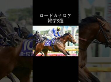 【雑学】ロードカナロアに関する雑学5選 #競馬 #高松宮記念 #ロードカナロア #カレンチャン #ウマ娘