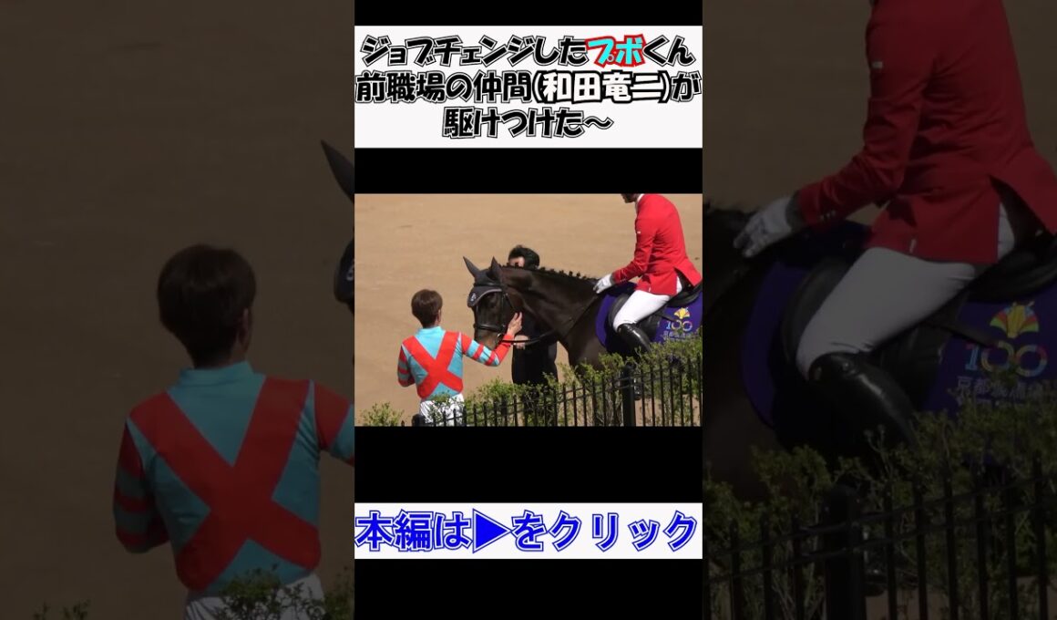 天皇賞(春)day ジョブチェンジで【誘導馬】になった#ディープボンド が #和田竜二 さんと再会した～ 現地映像