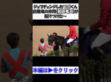 天皇賞(春)day ジョブチェンジで【誘導馬】になった#ディープボンド が #和田竜二 さんと再会した～ 現地映像