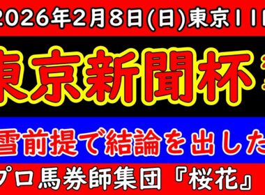 【東京新聞杯2026 最終予想】雪で全てが狂う可能性｜開催可否・馬場悪化を前提に残した結論