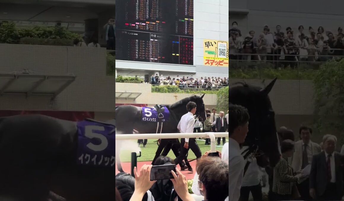 2023 宝塚記念 パドック #horse #競馬  #イクイノックス