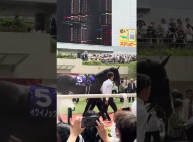 2023 宝塚記念 パドック #horse #競馬  #イクイノックス