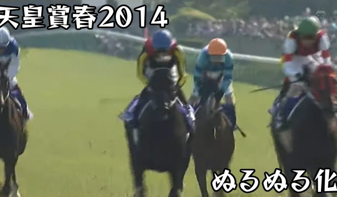 フェノーメノ 天皇賞春 2014 ぬるぬる化で見よう conv to 60fps