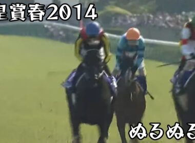 フェノーメノ 天皇賞春 2014 ぬるぬる化で見よう conv to 60fps