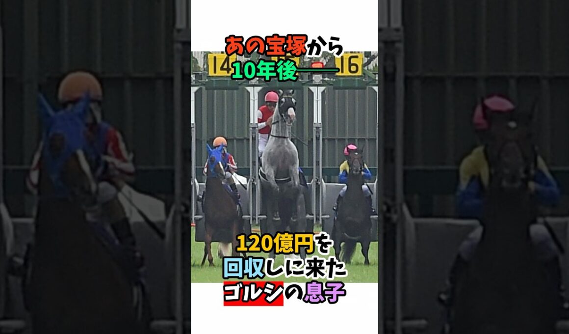 あの宝塚から10年後──120億円を回収しに来たゴルシの息子#競馬 #horse