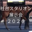 【社台スタリオン展示会2026】大阪杯連覇ベラジオオペラなど29頭が登場！
