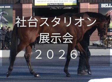 【社台スタリオン展示会2026】大阪杯連覇ベラジオオペラなど29頭が登場！