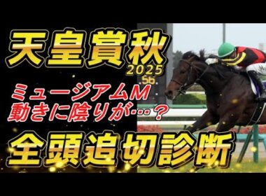 ミュージアムマイル 出来落ち感が！？　天皇賞秋2025　追い切り診断！！元馬術選手のコラム