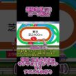 優駿牝馬（オークス）コース紹介