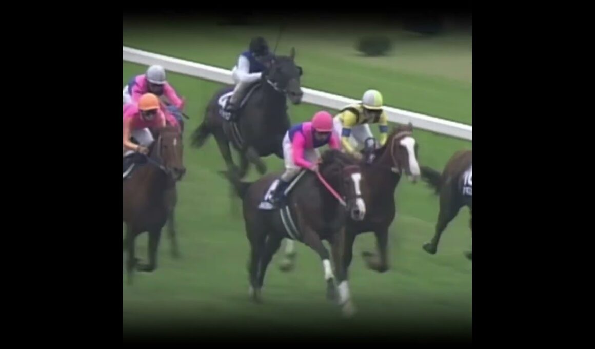 ジンクスを破壊させた馬 #競馬 #テイエムオペラオー #天皇賞秋