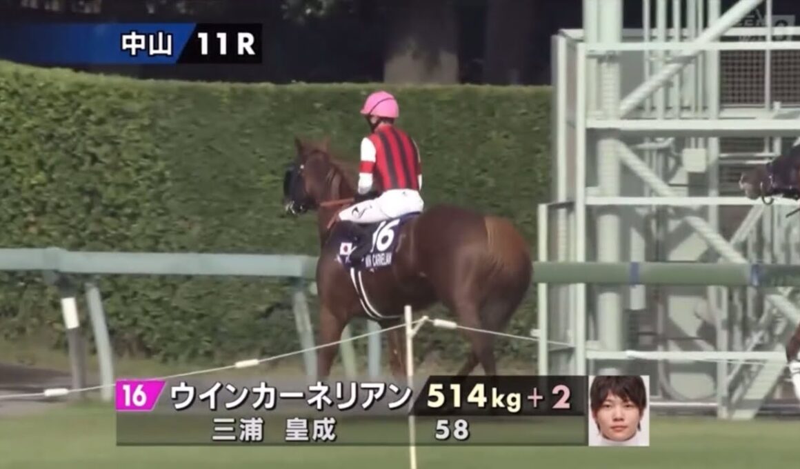 2025年第59回スプリンターズステークス〔GⅠ〕本馬場入場