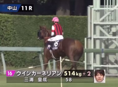 2025年第59回スプリンターズステークス〔GⅠ〕本馬場入場