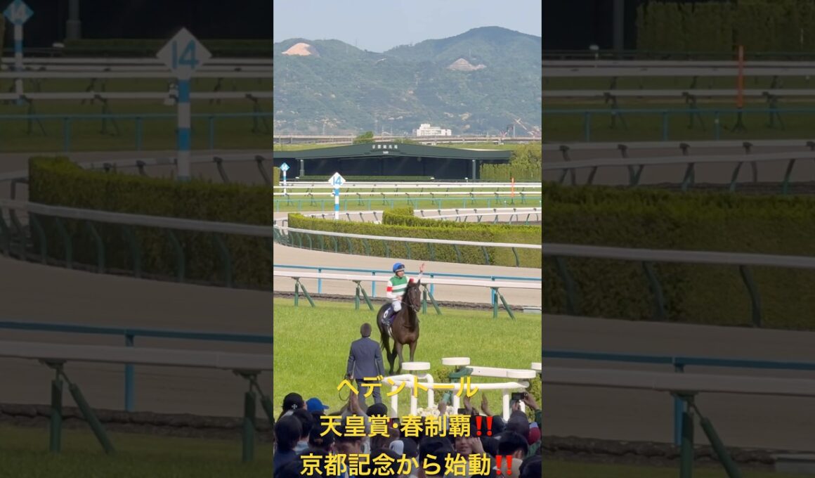 【競馬現地映像】へデントール 天皇賞・春 圧巻の勝利‼️クールなレーン騎手の勝利の喜び！京都記念有力馬 天皇賞・春 2025.5.4【WIN5キャリーオーバー】
