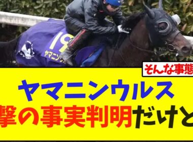ヤマニンウルス 衝撃の事実判明だけど…【競馬】