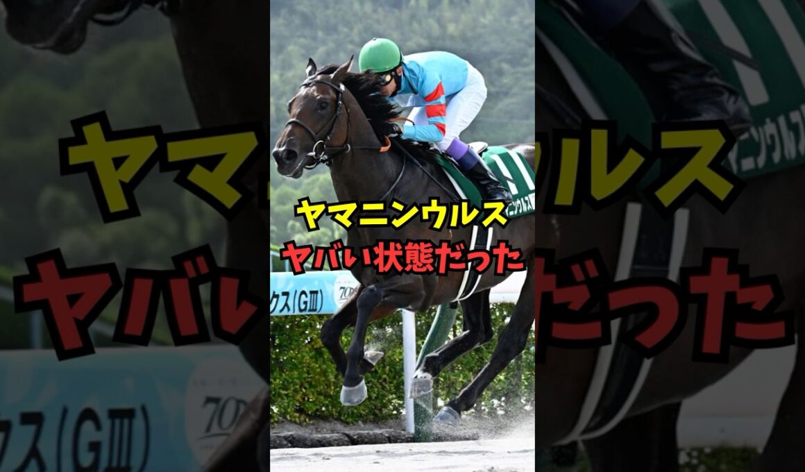 【フェブラリーS】ヤマニンウルス、ヤバい状態だった...