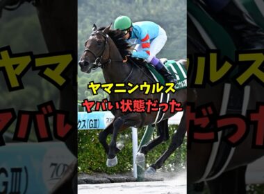 【フェブラリーS】ヤマニンウルス、ヤバい状態だった...