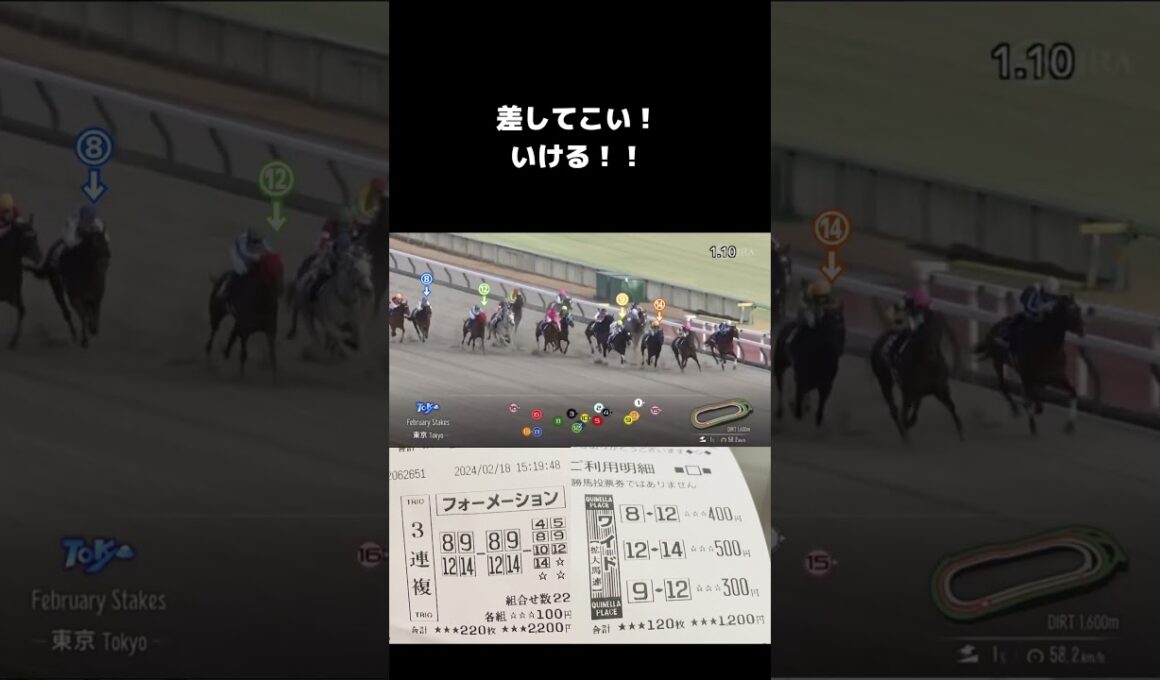 RobertoがフェブラリーSで高額配当的中！？#shorts #競馬 #競馬予想 #三冠馬