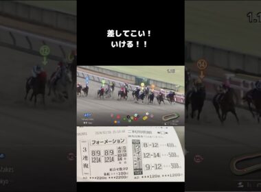 RobertoがフェブラリーSで高額配当的中！？#shorts #競馬 #競馬予想 #三冠馬