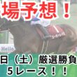 【平場競馬予想】2月14日の厳選競馬予想5レース！