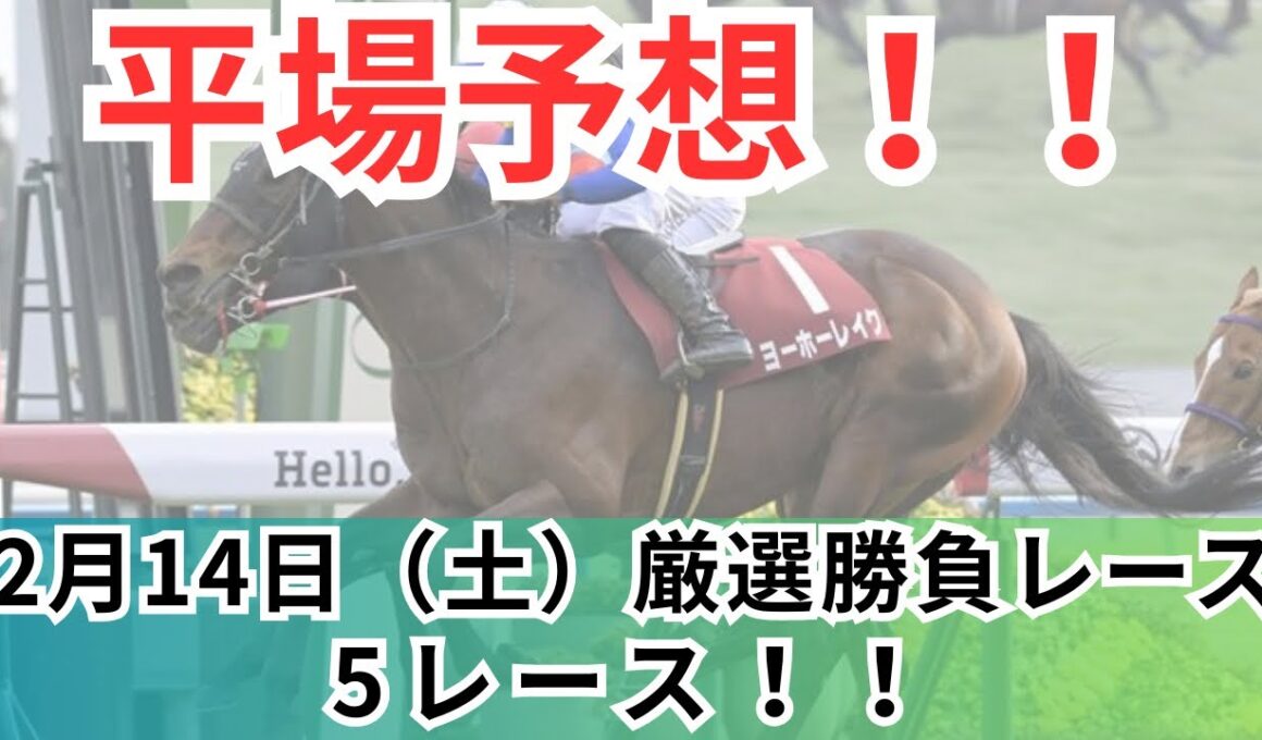 【平場競馬予想】2月14日の厳選競馬予想5レース！