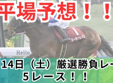 【平場競馬予想】2月14日の厳選競馬予想5レース！