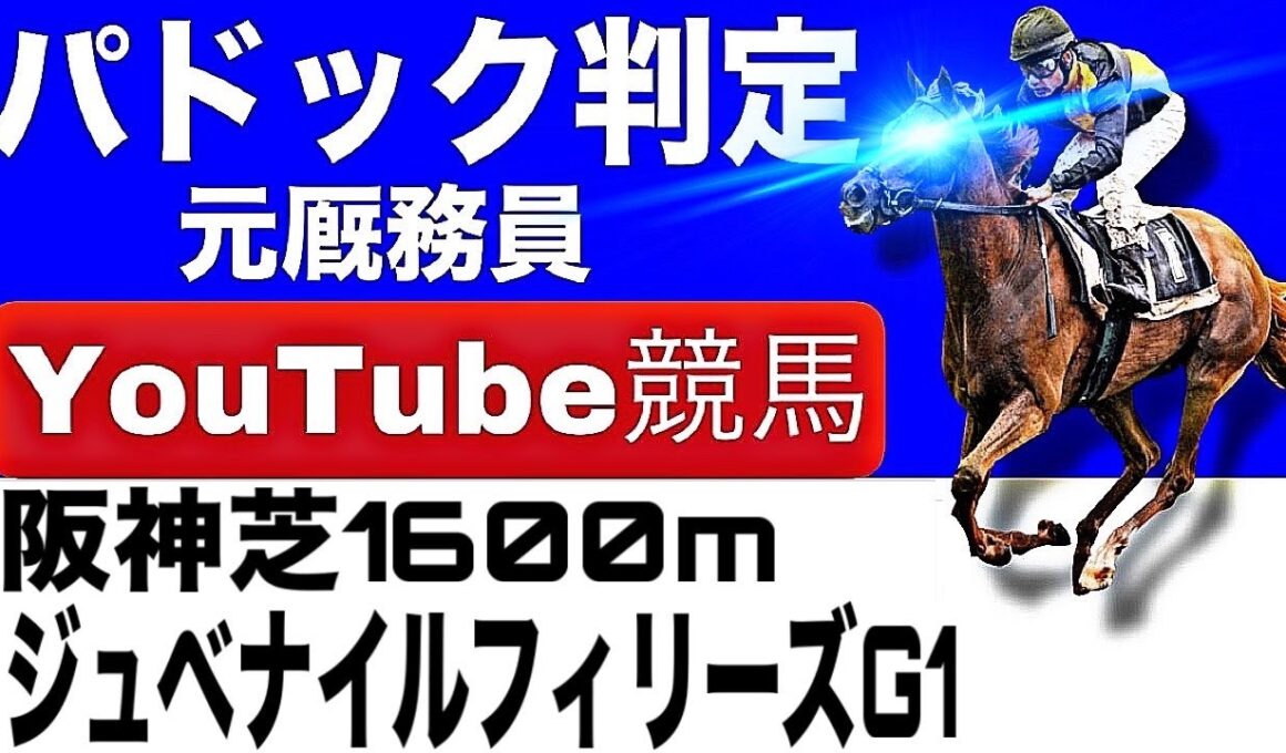 阪神ジュベナイルフィリーズ2025完全予想！今年の注目馬とパドックを徹底解説！