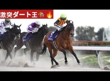 🔥【今年も激熱！】フェブラリーステークス2026🏇最強馬22頭集結！勝者は誰だ⁉️🔥