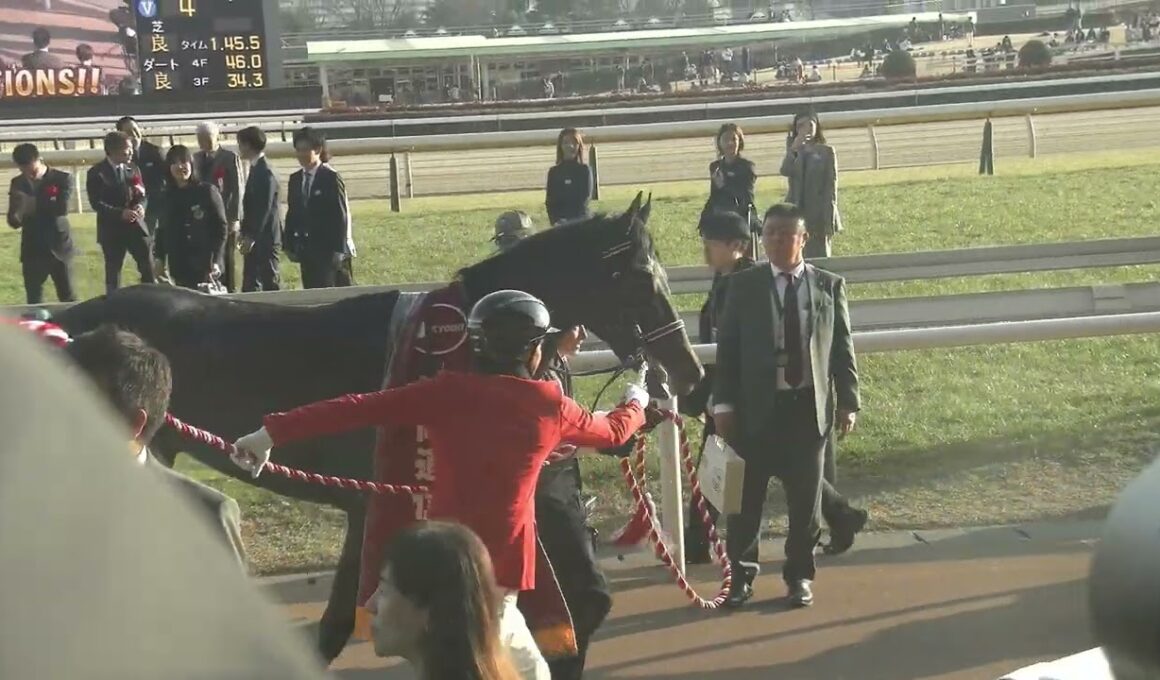 【皐月賞、日本ダービーへ】共同通信杯(GⅢ) 現地 優勝馬 リアライズシリウス 津村明秀騎手 口取り→表彰式 2026/2/15 東京競馬場 11R