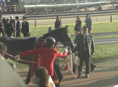 【皐月賞、日本ダービーへ】共同通信杯(GⅢ) 現地 優勝馬 リアライズシリウス 津村明秀騎手 口取り→表彰式 2026/2/15 東京競馬場 11R