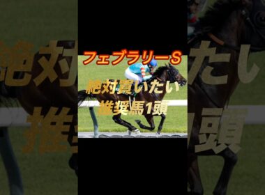フェブラリーステークス2026絶対買いたい推奨馬1頭紹介